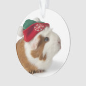 Cobaye mignon avec le casquette de Noël sur le (devant)