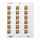 Cobb De Maïs Sur Stalk Étiquette de adresse (Feuille entière)