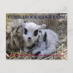 COBBLEROCK RIDGE BOERDERIJ POST CARD BRIEFKAART
