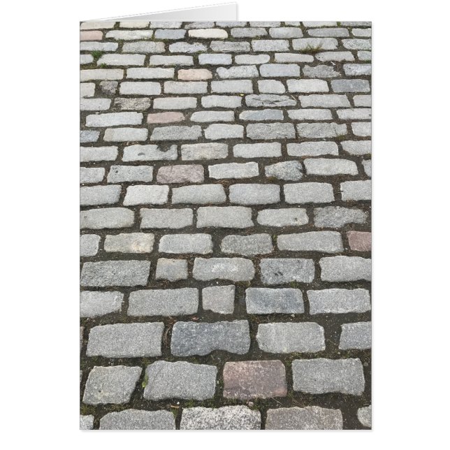Cobblestone Walkway, Central Park, New York (Devant)