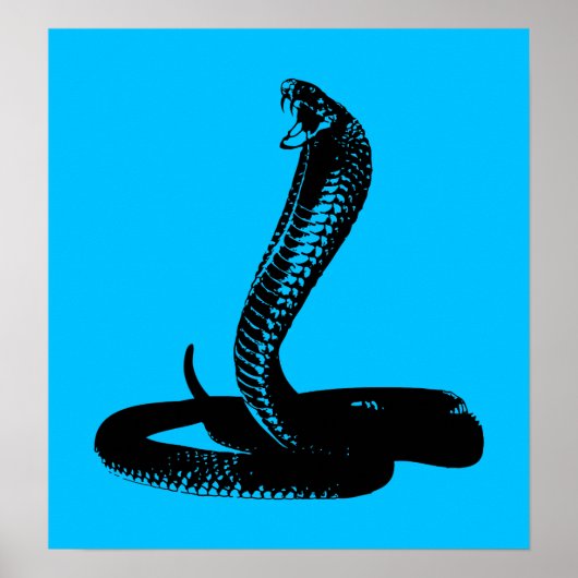 Cobra - affiche noire (Devant)