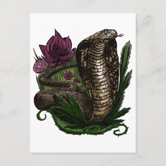 Cobra Briefkaart (Voorkant)