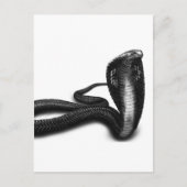 Cobra Briefkaart (Voorkant)