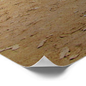 Cobra Classic Poster (Hoek)