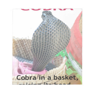 Cobra in Basket Art Print Notitieblok