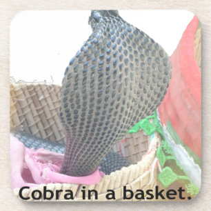 Cobra in Basket Art Print Onderzetter