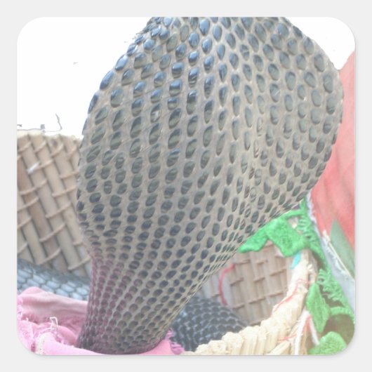 Cobra in Basket Art Print Vierkante Sticker (Voorkant)