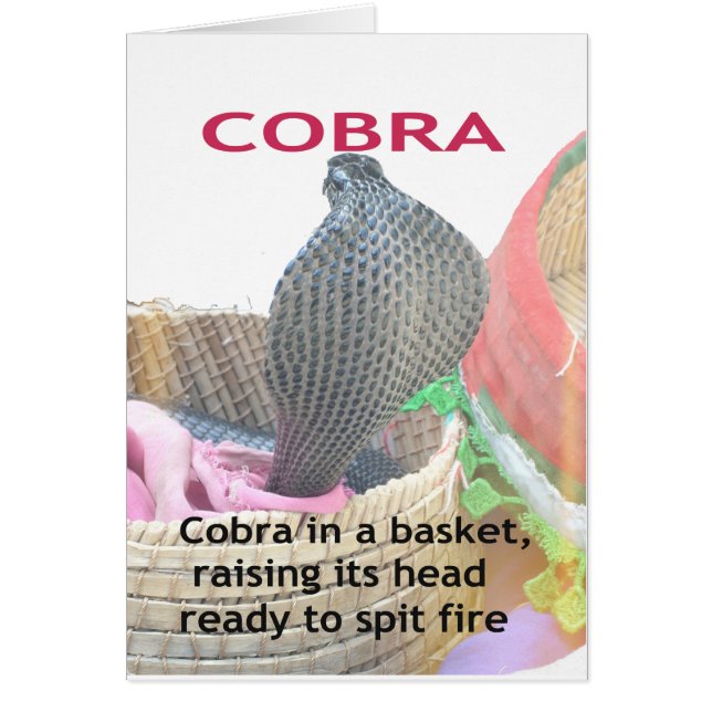 Cobra in een mandje klaar om te spugen (Voorkant)