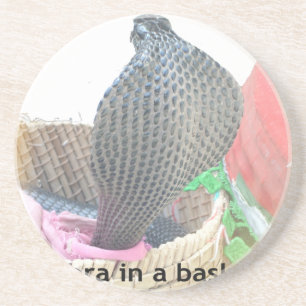 Cobra in een mandje klaar om te spugen zandsteen onderzetter