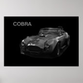COBRA POSTER (Voorkant)