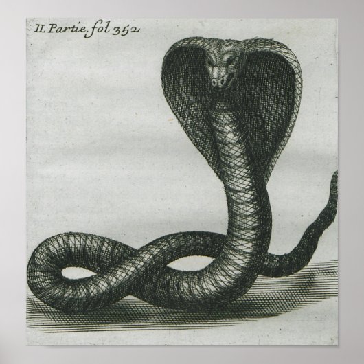 Cobra Poster (Voorkant)