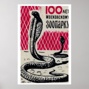 Cobra Slangen - Matchbox Print - Tsjechische Muurk