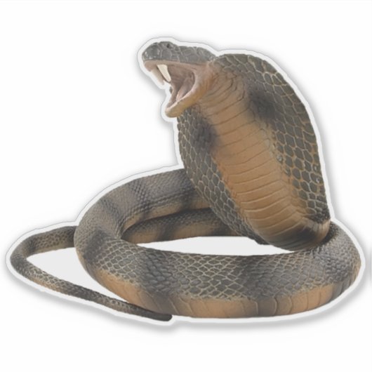 Cobra Sticker (Voorkant)