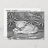 Cobweb + Crabfren Briefkaart (Voorkant / Achterkant)