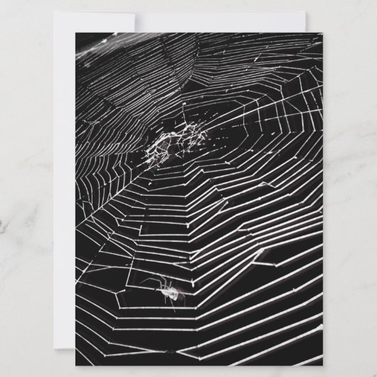 Cobwebs and White Spiders Birthday Kaart (Achterkant)