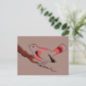 Coca Birdy briefkaart (Staand voorkant)