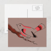 Coca Birdy briefkaart (Voorkant / Achterkant)