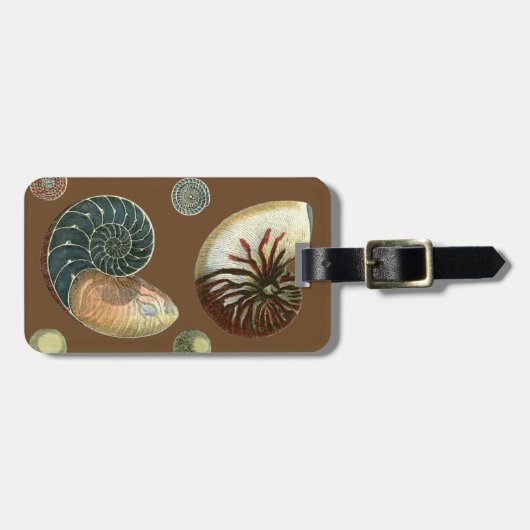 Coca Shell Bagagelabel (Voorkant horizontaal)