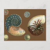 Coca Shell Briefkaart (Voorkant)