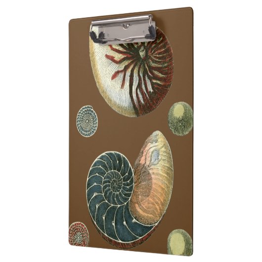 Coca Shell Klembord (Links)