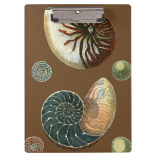 Coca Shell Klembord