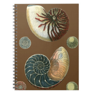Coca Shell Notitieboek