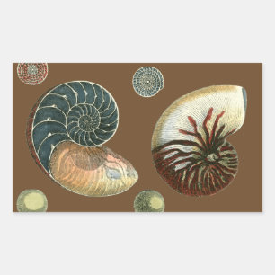 Coca Shell Rechthoekige Sticker