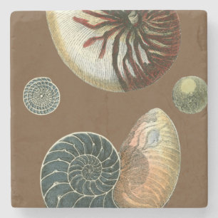 Coca Shell Stenen Onderzetter