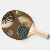 Coca Shell Tafeltennisbatje (Zijkant)