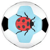 Coccinelle (Tourné)