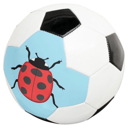 Coccinelle (3/4)