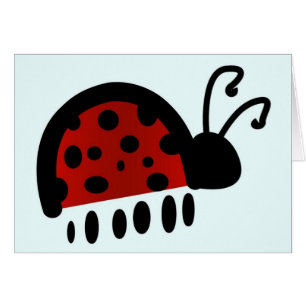 Coccinelle