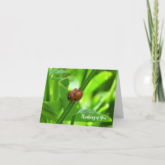 Coccinelle - Carte Pensées pour Toi