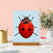 Coccinelle Chanceuse (Mariage)