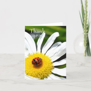 Coccinelle de Merci