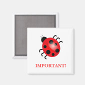 Coccinelle | Magnet (Recto/Verso)