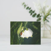Coccinelle sur fleur de flocon d'été DIY carte pos (Debout devant)