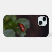Coccinelle sur fleurs (Verso Horizontal)