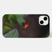 Coccinelle sur fleurs (Verso Horizontal)