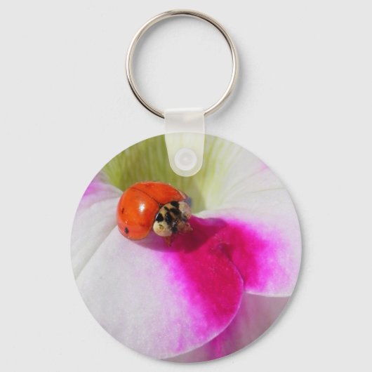 Coccinelle sur le porte-clés pétunia (Recto)