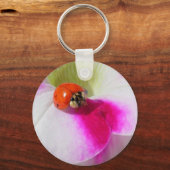 Coccinelle sur le porte-clés pétunia (Recto)