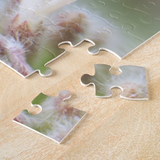 Coccinelle sur Silverleaf Phacelia sur le puzzle (Côté)