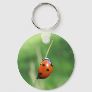 Coccinelle sur un brin d'herbe Porte-clés