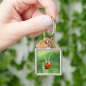 Coccinelle sur un brin d'herbe Porte-clés (main)