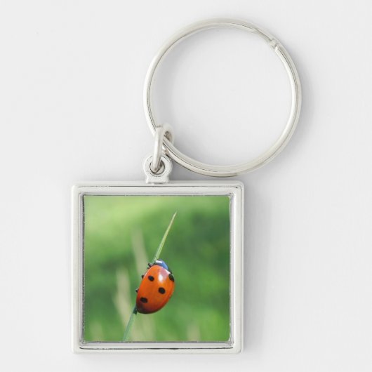 Coccinelle sur un brin d'herbe Porte-clés (Devant)