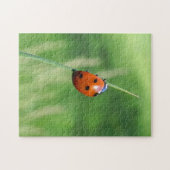 Coccinelle sur un brin d'herbe Puzzle (Horizontal)