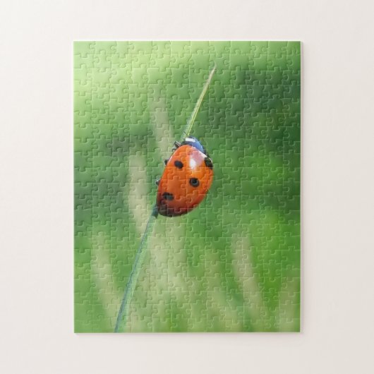 Coccinelle sur un brin d'herbe Puzzle (Vertical)