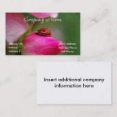 Coccinelle sur un carte de visite de rose (Devant / Derrière)
