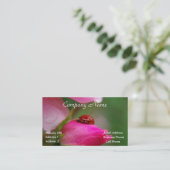Coccinelle sur un carte de visite de rose (Debout devant)