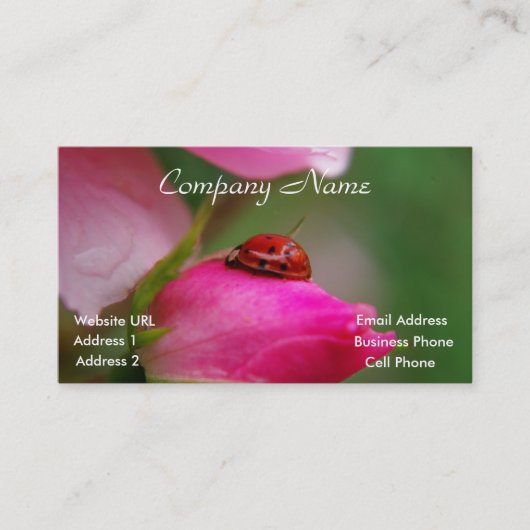 Coccinelle sur un carte de visite de rose (Devant)